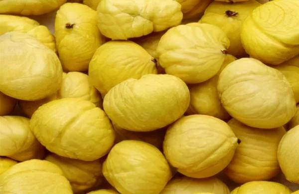 TA長得像刺蝟,全身都是寶 TA長得像刺蝟,全身都是寶