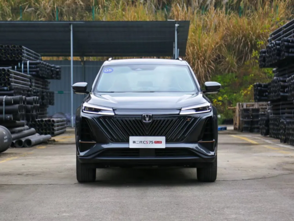 &OpenCurlyDoubleQuote;千年老二&rdquo;無懸念，這臺國產SUV殺到前三，1月份這些車賣得最好