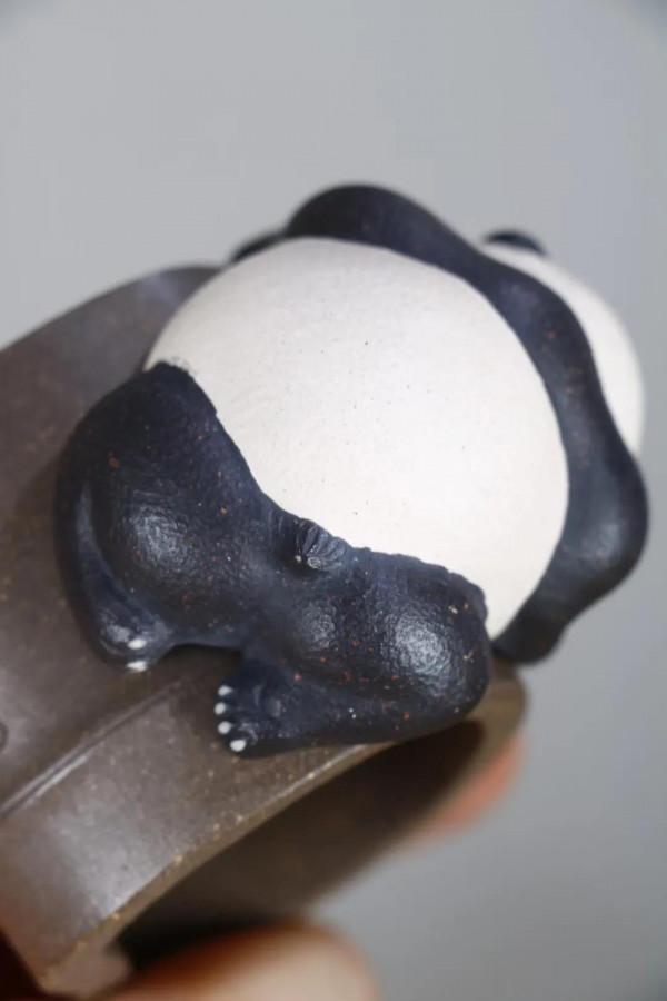 熊貓，可愛嗎？