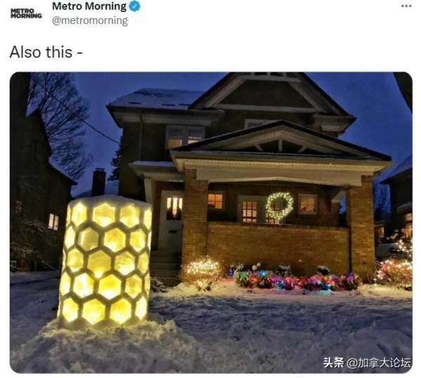 膜拜！安省男子家門口堆精美的雪獅冰雕讓眾人歎為觀止