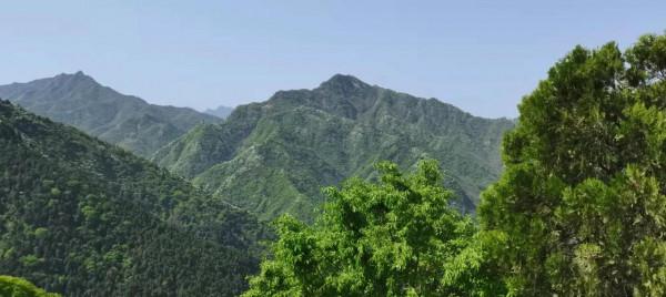 大美秦嶺之春到小五臺