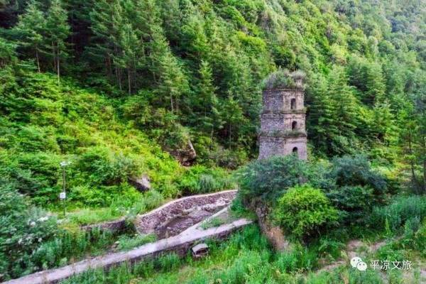 國慶去哪呢？| 陳家洞：幽谷風無影 月出驚鶯夢