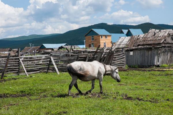 一月最有活力的地方，景色絕美，鮮有人至，值得一去