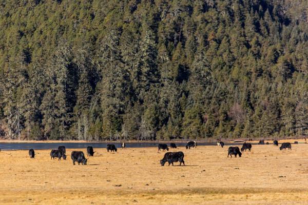 住進遺落人間的天堂 哈弗M6 PLUS生活記
