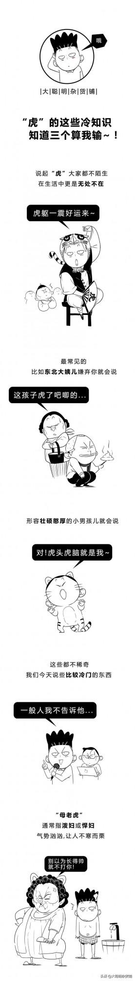 &OpenCurlyDoubleQuote;虎&rdquo;竟然是計量單位？貓師傅為啥不教老虎上樹？虎年冷知識走起