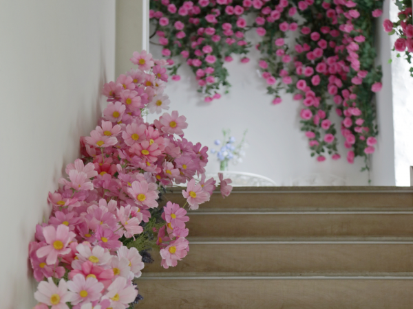 浣熊C位出道,牛排紅酒地道,這家餐廳有點味道~ 浣熊C位出道,牛排紅酒地道,這家餐廳有點味道~