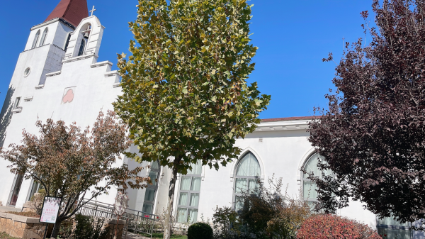 藏在森林酒店中的風景區——靜之湖