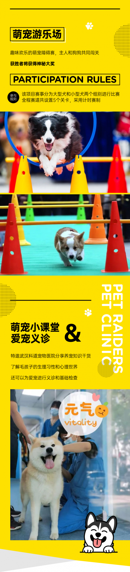 免費領養！零食義賣！萌寵秀！鏟屎官我們來啦