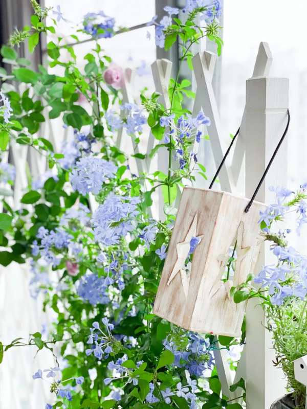 封閉陽臺也爆花!4個優秀案例,面積2.4m²-9m²,總有一個給你靈感 封閉陽臺也爆花!4個優秀案例,面積2.4m²-9m²,總有一個給你靈感