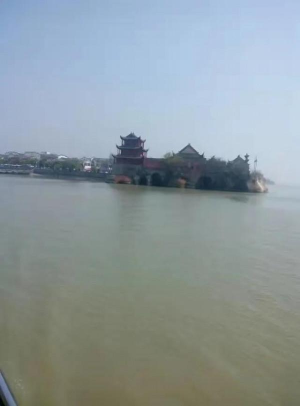 流金歲月之四:巢湖,撲朔迷離槐蔭樹 流金歲月之四:巢湖,撲朔迷離槐蔭樹