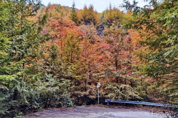 秘境南壩溝——四川光霧山 秘境南壩溝——四川光霧山