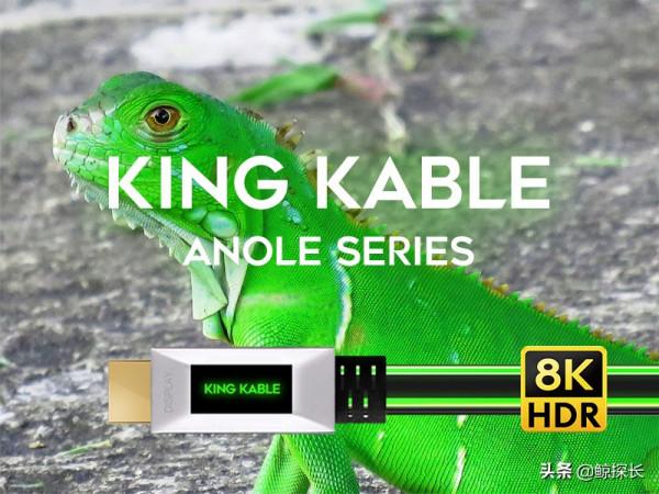 KING KABLE釋出業界首款RGB燈效光纖HDMI2.1版8K線 代號“變色龍” KING KABLE釋出業界首款RGB燈效光纖HDMI2.1版8K線 代號“變色龍”