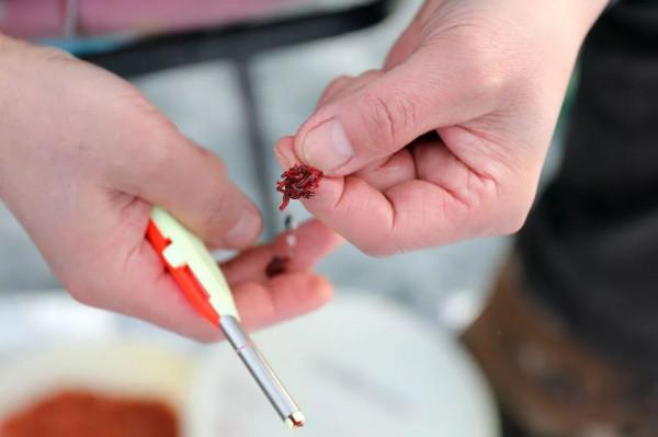 冬季自然水域釣魚的十二個技巧 冬季自然水域釣魚的十二個技巧