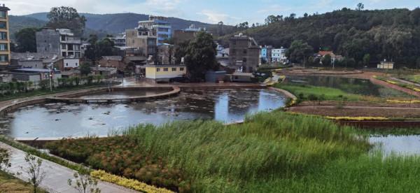 50元一天的撫仙湖岸邊小客棧，15元一公斤的小活蝦，體驗農家野趣