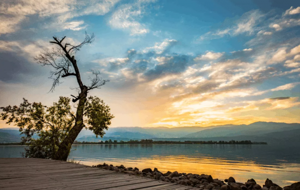 初秋來四川,帶你去看“海”!不信? 初秋來四川,帶你去看“海”!不信?