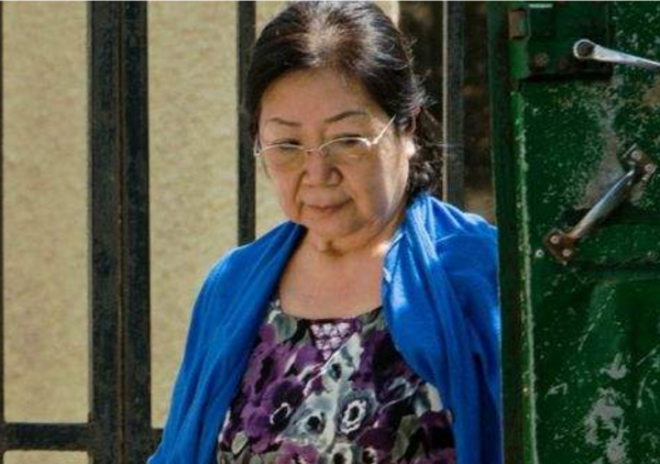 2009年中國一大媽在非洲被判15年，行為引發眾怒，耿爽：絕不袒護