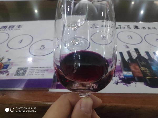 媽呀！拍《山海情》黃軒住過的酒店！我承認我酸了