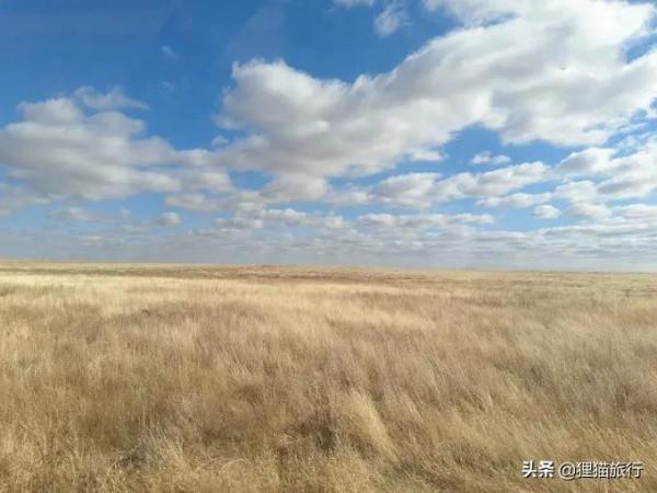 蒙古有4個戈壁省，東戈壁省、中戈壁省、南戈壁省、戈壁阿爾泰省