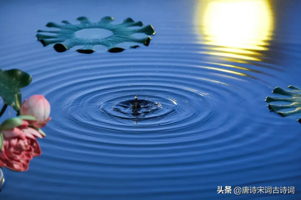 你看你看，月亮的臉