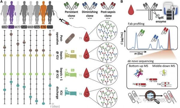小差異,大影響!我們的免疫系統就像DNA和指紋一樣獨一無二 小差異,大影響!我們的免疫系統就像DNA和指紋一樣獨一無二