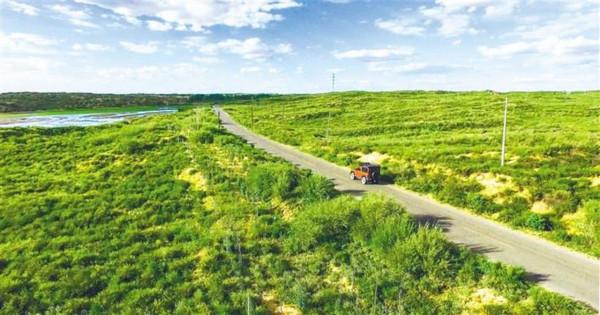 再次創造世界奇蹟!中國第一個即將消失的沙漠,整整花了60年 再次創造世界奇蹟!中國第一個即將消失的沙漠,整整花了60年