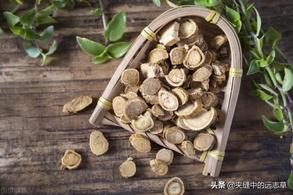 風疹、溼症？送你一劑消風散，祛風止癢、清熱燥溼，兼可養血