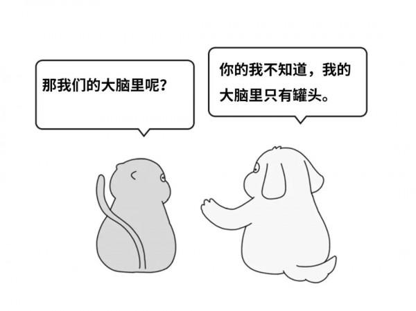 我們的大腦中至少存在9種性別表達?|每日罐頭 我們的大腦中至少存在9種性別表達?|每日罐頭