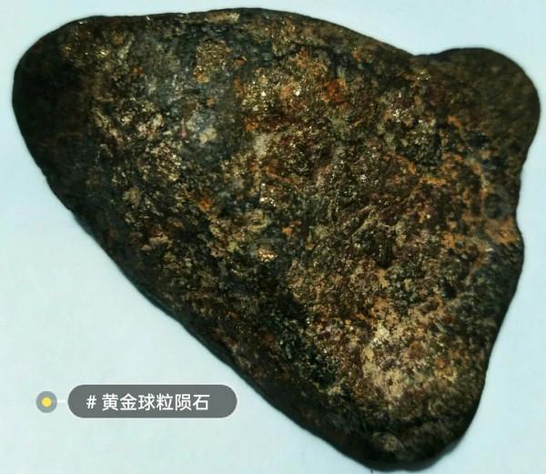 世界罕見～黃金球粒定向隕石共賞