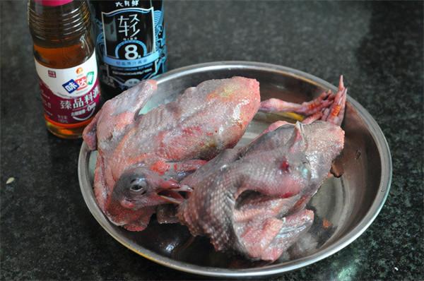 天氣寒冷，吃鴿勝過雞和鴨！上鍋一蒸香氣四溢，高蛋白好消化