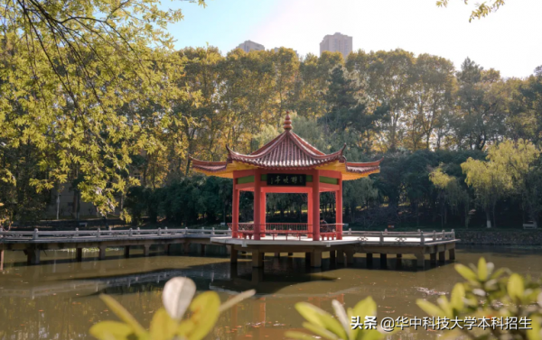 創造“世界第一”，填補國內空白！他們畢業於華中科技大學，都成了企業CEO