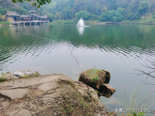 只是逛個公園，沒想卻有這麼多景點，看到臘梅確實讓人格外驚喜