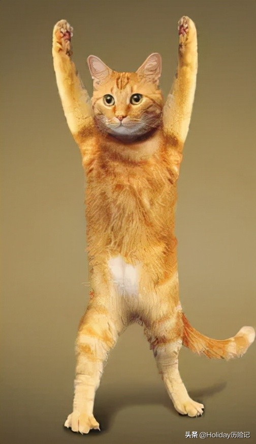 穿上 1000 塊一條的 lululemon，我飄了