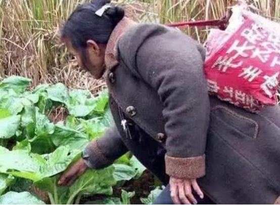 8旬老太堅持“造字”,花20年自創“天書”,怕是隻有自己看得懂 8旬老太堅持“造字”,花20年自創“天書”,怕是隻有自己看得懂