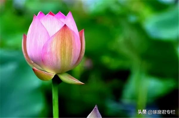 一種高階的人生活法：慢