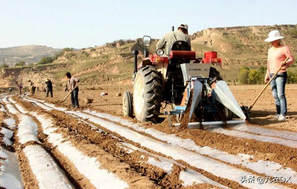 高標準農田建設，小農模式的終結？老農說“越早終結越好”