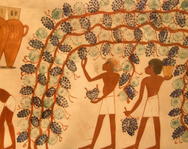 圖坦卡蒙的墓中發現6個酒罐,上面寫有二十三個字,是什麼意思呢 圖坦卡蒙的墓中發現6個酒罐,上面寫有二十三個字,是什麼意思呢