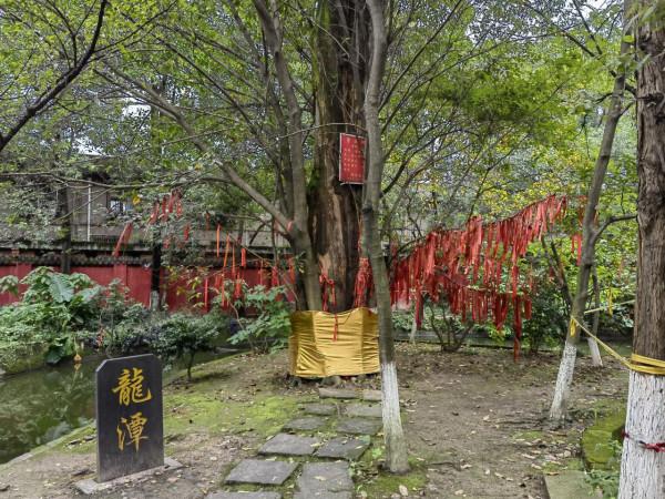成都這四座寺廟免費開放,擁有上千年文化積澱,適合冬日前來打卡 成都這四座寺廟免費開放,擁有上千年文化積澱,適合冬日前來打卡