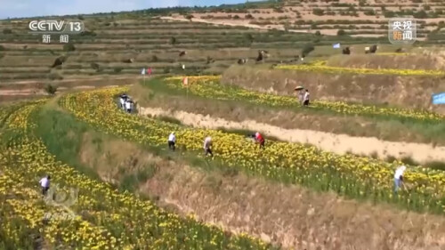 農業：走上高質量發展之路