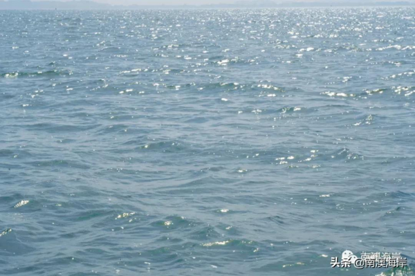 好想好想好想去南澳看海