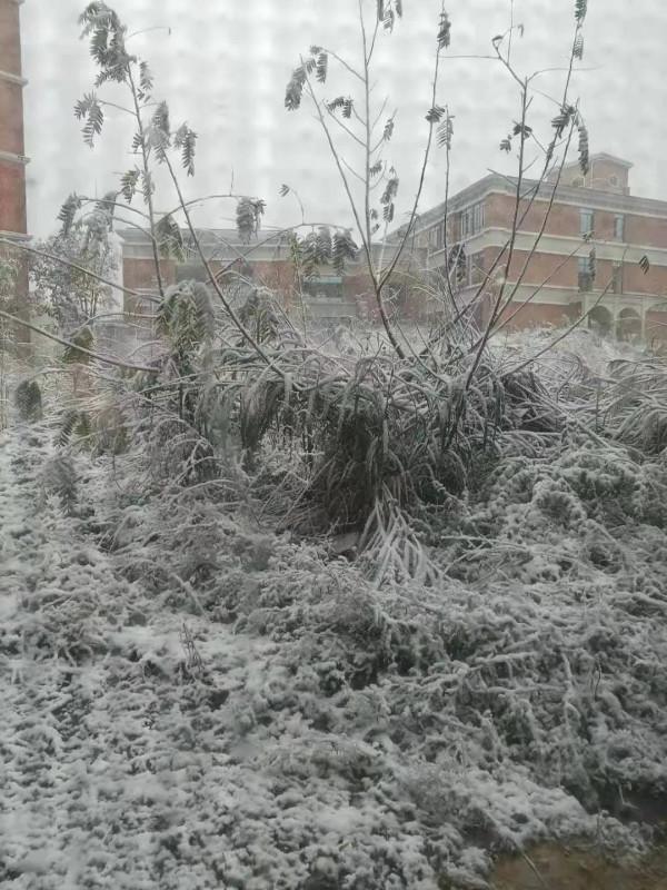 拿捏水瓶座的技巧