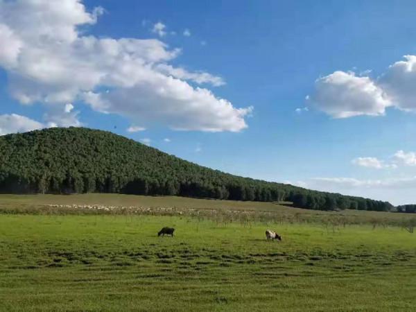 藍天白雲的呼喚