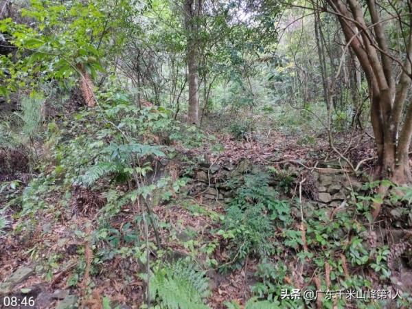 三天嶂，聳立於五華陸河的交界，廣東千米山峰第一人孤身登頂