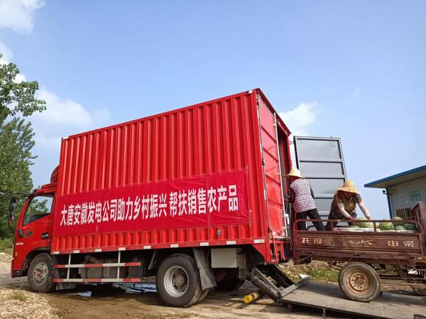 中國大唐:推動落實助力鄉村振興的大唐特色幫扶體系 中國大唐:推動落實助力鄉村振興的大唐特色幫扶體系