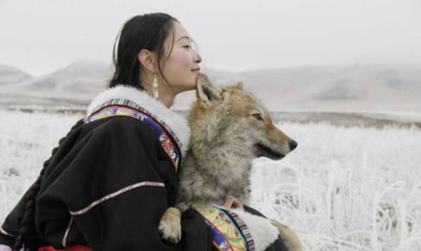 2020年，草原姑娘春運回家，狼群卻在半路等候，原來是恩人回來了
