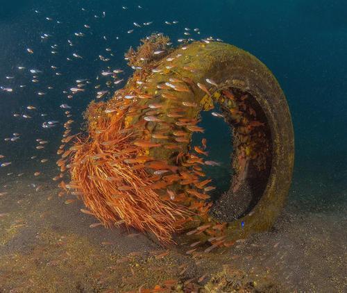阿爾卑斯山發現大量塑膠微粒，人類的最終走向是什麼？