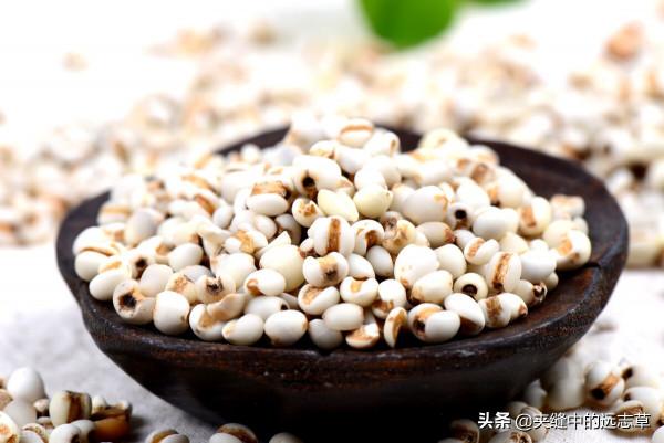 息肉？送你四味中藥，化瘀散結，一路收，一路散，一路瀉