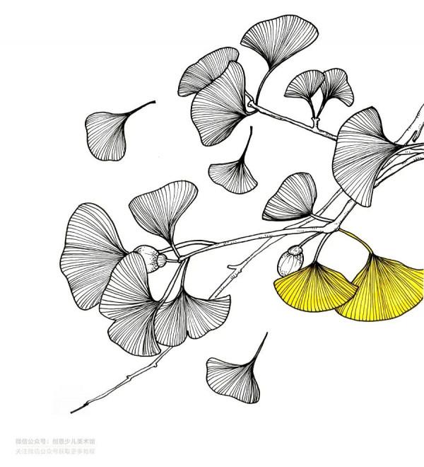 兒童畫教程|創意寫生美術課程《片片銀杏葉》 兒童畫教程|創意寫生美術課程《片片銀杏葉》