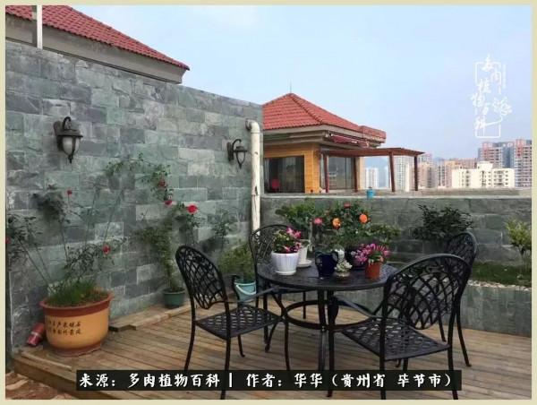 我的造園之夢：鮮花、多肉、錦鯉，這才是樓頂花園該有的樣子