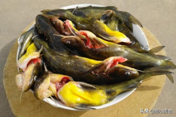 冬季最值得吃的5種魚,尤其帶魚,營養肉肥刺少,適合小孩多吃 冬季最值得吃的5種魚,尤其帶魚,營養肉肥刺少,適合小孩多吃