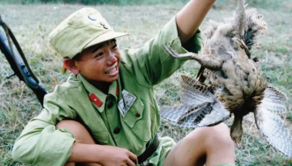 90年代，這些童星“紅極一時”，30年過去了，他們如今怎樣了？